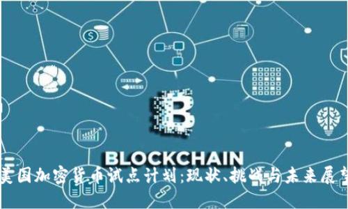 美国加密货币试点计划：现状、挑战与未来展望