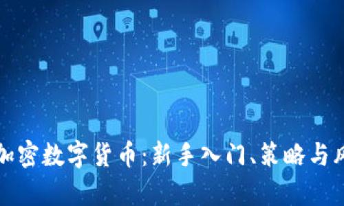 如何炒加密数字货币：新手入门、策略与风险分析