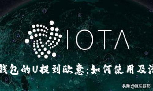 深入了解TP钱包的U提到欧意：如何使用及潜在风险分析