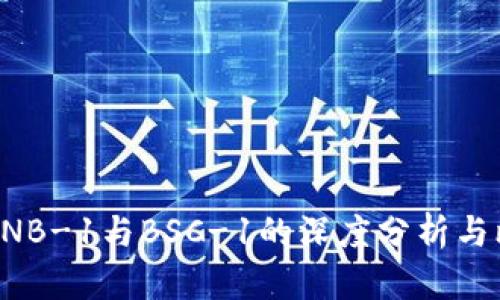 TP钱包BNB-1与BSC-1的深度分析与比较指南