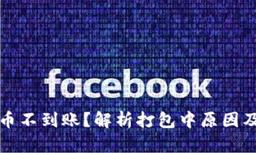 TP钱包转币不到账？解析打包中原因及解决方法