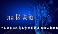为什么你应该远离加密数字货币：风险与挑战分
