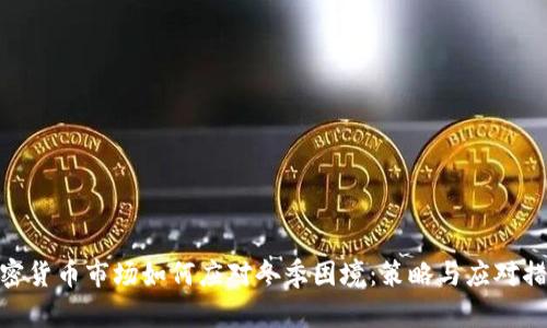加密货币市场如何应对冬季困境：策略与应对措施