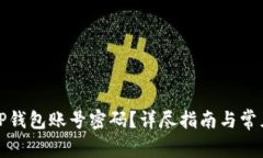 如何找回TP钱包账号密码？详尽指南与常见问题解