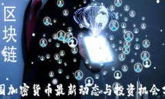 法国加密货币最新动态与投资机会分析
