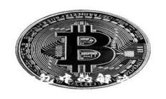 TP钱包转出一直在打包中的解决方案与常见问题解