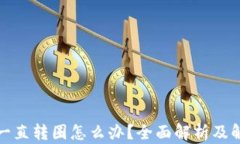 TP钱包一直转圈怎么办？全面解析及解决方案