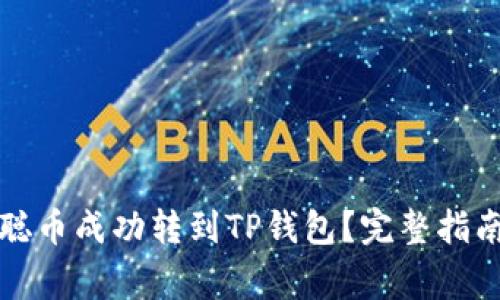 如何将中本聪币成功转到TP钱包？完整指南与注意事项