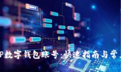 如何创建TP数字钱包账号：快速指南与常见问题解