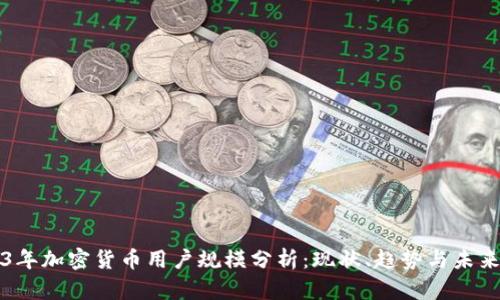 2023年加密货币用户规模分析：现状、趋势与未来展望
