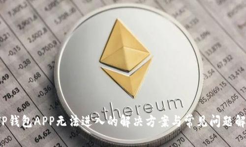  TP钱包APP无法进入的解决方案与常见问题解答