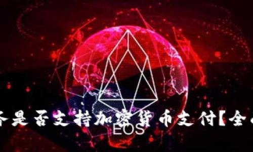 虚拟主机服务是否支持加密货币支付？全面解析与指南