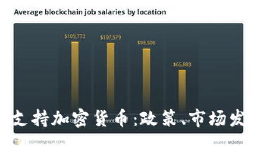 委内瑞拉如何支持加密货币：政策、市场发展与未来展望