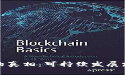 加密货币能源消耗的真相：可持续发展路径与最优解决方案