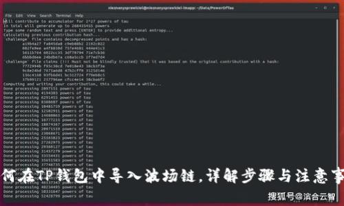 如何在TP钱包中导入波场链，详解步骤与注意事项