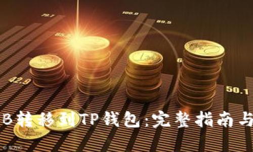 如何将BIB转移到TP钱包：完整指南与流程解析