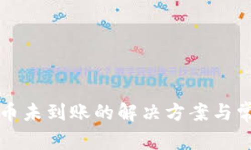 TP钱包买新币未到账的解决方案与常见问题解析