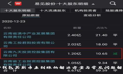 TP钱包买新币未到账的解决方案与常见问题解析
