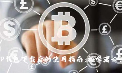 TP钱包下载后的使用指南：初学者必读