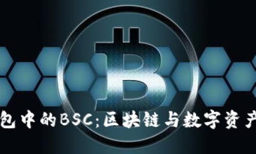 深入了解TP钱包中的BSC：区块链与数字资产的一体化管理