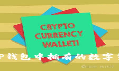 : 如何查看TP钱包中拥有的数字货币详细步骤