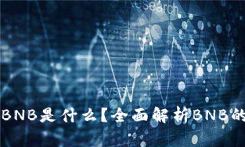 TP钱包中的BNB是什么？全面解析BNB的功能与应用