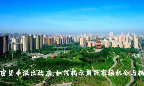 加密货币溢出效应：如何揭示新兴市场机会与挑战