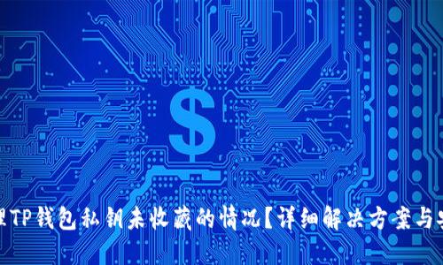 如何处理TP钱包私钥未收藏的情况？详细解决方案与安全建议