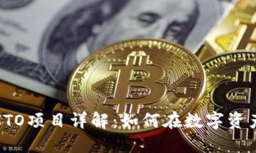 : 香港加密货币CTO项目详解：如何在数字资产世界中脱颖而出