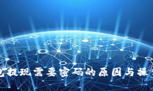 TP钱包提现需要密码的原因与操作指南