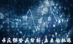 加密货币反弹势头分析：未来的机遇与风险
