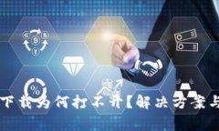 Title: TP钱包下载为何打不开？解决方案与常见问