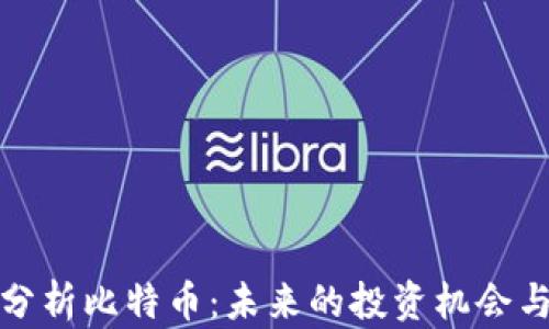 
深入分析比特币：未来的投资机会与风险