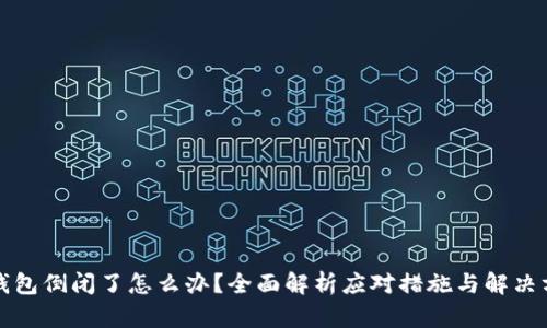 TP钱包倒闭了怎么办？全面解析应对措施与解决方案