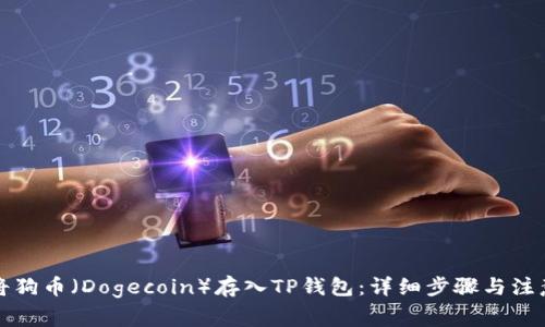 如何将狗币（Dogecoin）存入TP钱包：详细步骤与注意事项