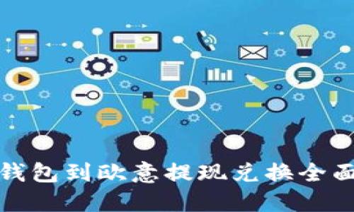 : TP钱包到欧意提现兑换全面指南
