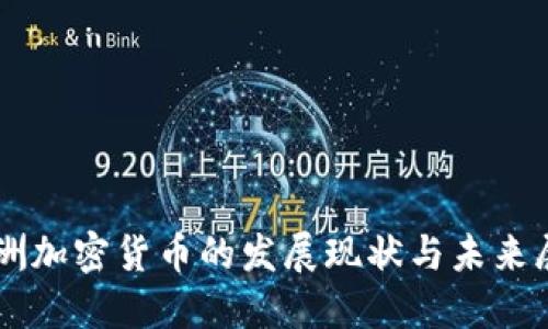 非洲加密货币的发展现状与未来展望