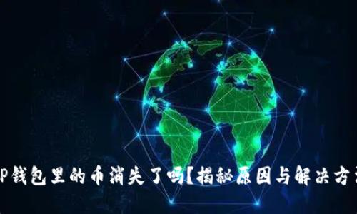 TP钱包里的币消失了吗？揭秘原因与解决方法