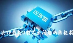 解决TP钱包U转不出问题的终极指南