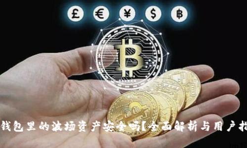 TP钱包里的波场资产安全吗？全面解析与用户指南