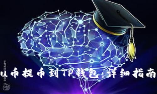 如何将Kishu币提币到TP钱包：详细指南及注意事项