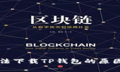 苹果设备无法下载TP钱包的原因及解决方案