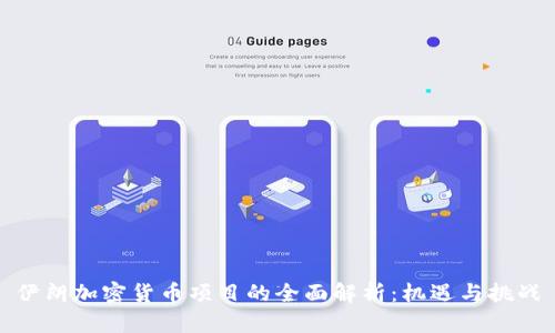 伊朗加密货币项目的全面解析：机遇与挑战