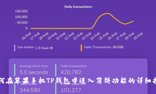 如何在苹果手机TP钱包中进入薄饼功能的详细指南
