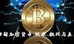 深入理解加密货币：现状、挑战与未来展望