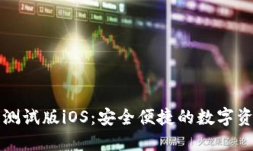 TP钱包下载测试版iOS：安全便捷的数字资产管理利器