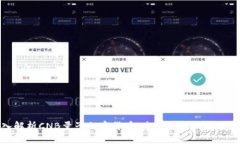 深入解析CNB量子加密货币：未来金融的安全之路
