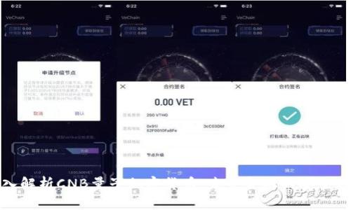 深入解析CNB量子加密货币：未来金融的安全之路