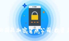 全球最具潜力的国际加密货币公司：投资未来的