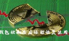 TP钱包被删除后还能恢复使用吗？